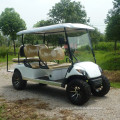 Electric golf cart with fixed seat